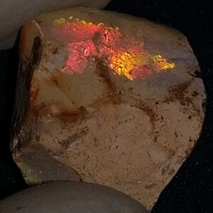 5.45 Carat Ethiopian Chocolate Shewa Rough Opal #5230810029