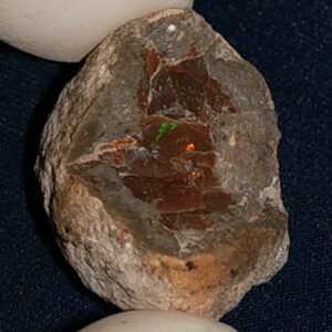 51.3 Carat Ethiopian Chocolate Shewa Rough Opal #5230810030