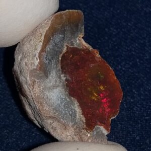 22.3 Carat Ethiopian Chocolate Shewa Rough Opal #5230810032