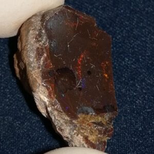31 Carat Ethiopian Chocolate Shewa Rough Opal #5230810033