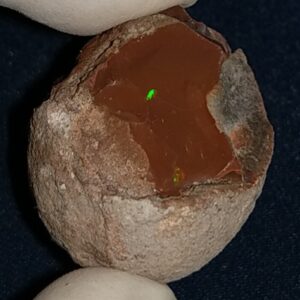 78.05 Carat Ethiopian Chocolate Shewa Rough Opal #5230810035