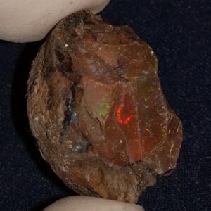 44 Carat Ethiopian Chocolate Shewa Rough Opal #5230810037