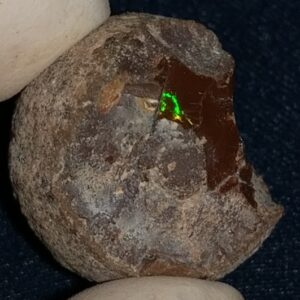 39.65 Carat Ethiopian Chocolate Shewa Rough Opal #5230810038