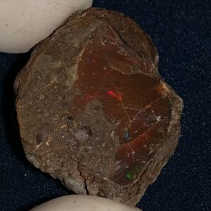 53.7 Carat Ethiopian Chocolate Shewa Rough Opal #5230810039