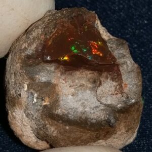 31.55 Carat Ethiopian Chocolate Shewa Rough Opal #5230810040