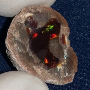 19.15 Carat Ethiopian Chocolate Shewa Rough Opal #5230810041