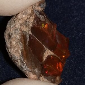 23.85 Carat Ethiopian Chocolate Shewa Rough Opal #5230810042