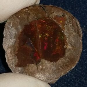 22.15 Carat Ethiopian Chocolate Shewa Rough Opal #5230810045