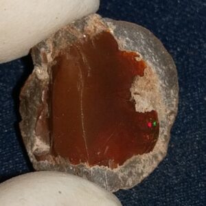 15.3 Carat Ethiopian Chocolate Shewa Rough Opal #5230810050